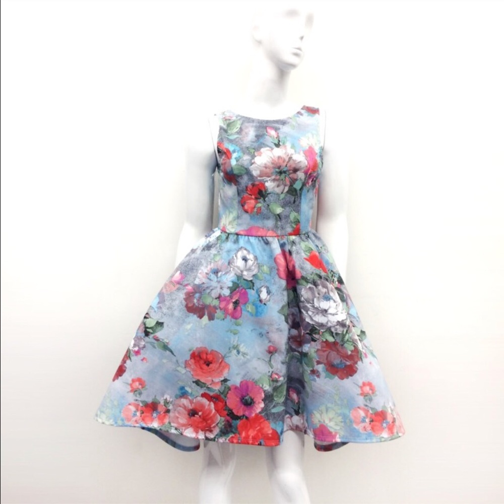 Painted Floral Dream Dress